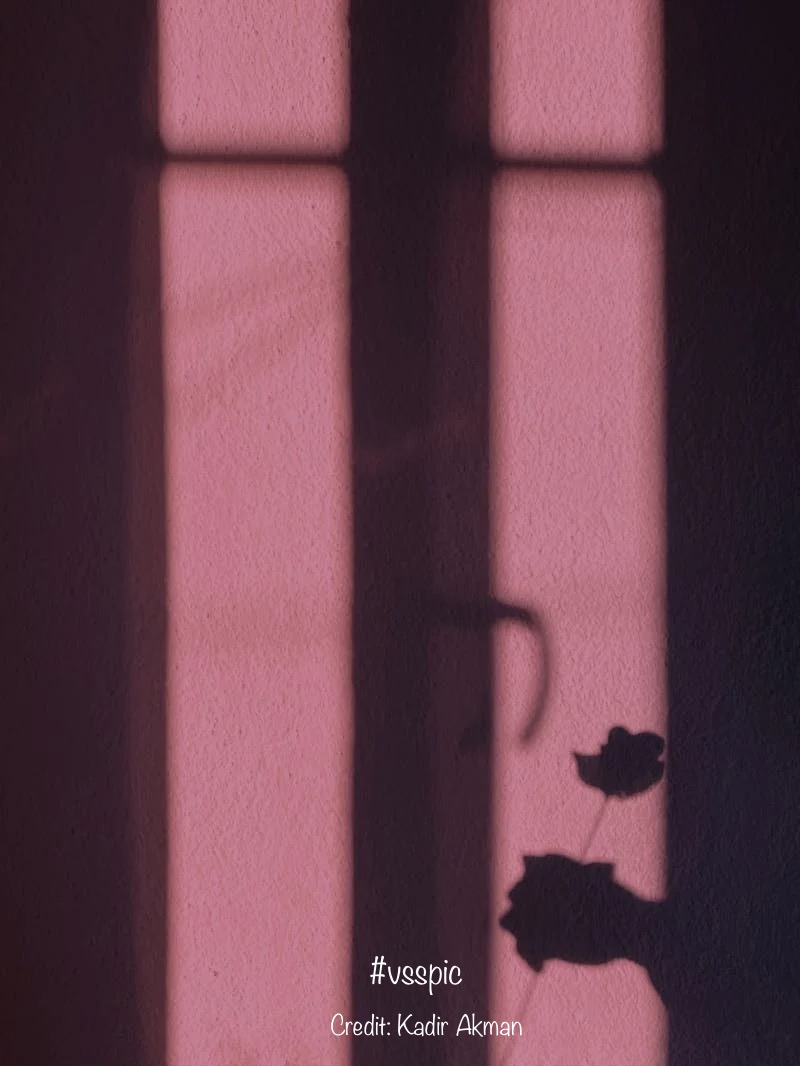ThatLousyNick's tweet photo. He remembers her smell. Like #lilac.
The hours she'd spend #primping in front of the #mirror.
Her #special smile.
Only one problem. He never had a #girlfriend.
He follows the trail of false memories to the old #dark house.
Where the #Gruach waits.
#vssink #Horrotica #vsspic https://t.co/AaIkzVLY0w