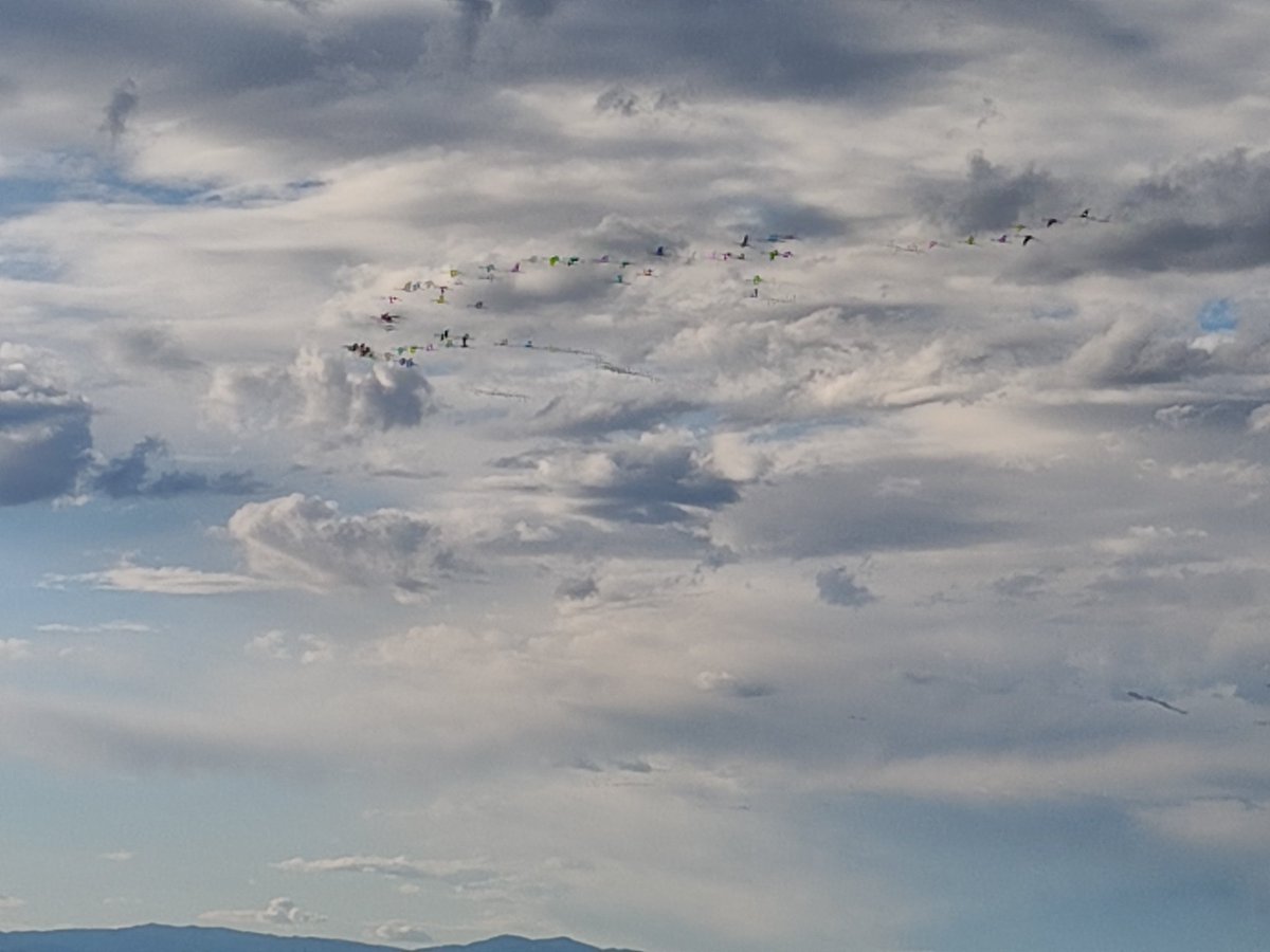 Eljuanca26's tweet photo. Invierno. Las aves vienen a pasarlo aquí huyendo d su frío invierno. Vuelan en forma d uve. Vienen d lejos, d muy lejos. Ojalá pudieran hablar. Ojalá fueran capaces d relatar las curiosas historias de su peregrinar. Ojalá.

#Minirelatos
#Flamencos
#Albufera
#Valencia
#invierno
. https://t.co/li4xJhXSX7