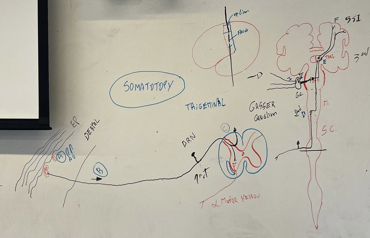 José Luis Ferran tweet media