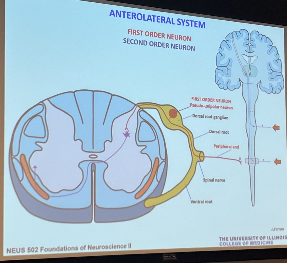 José Luis Ferran tweet media