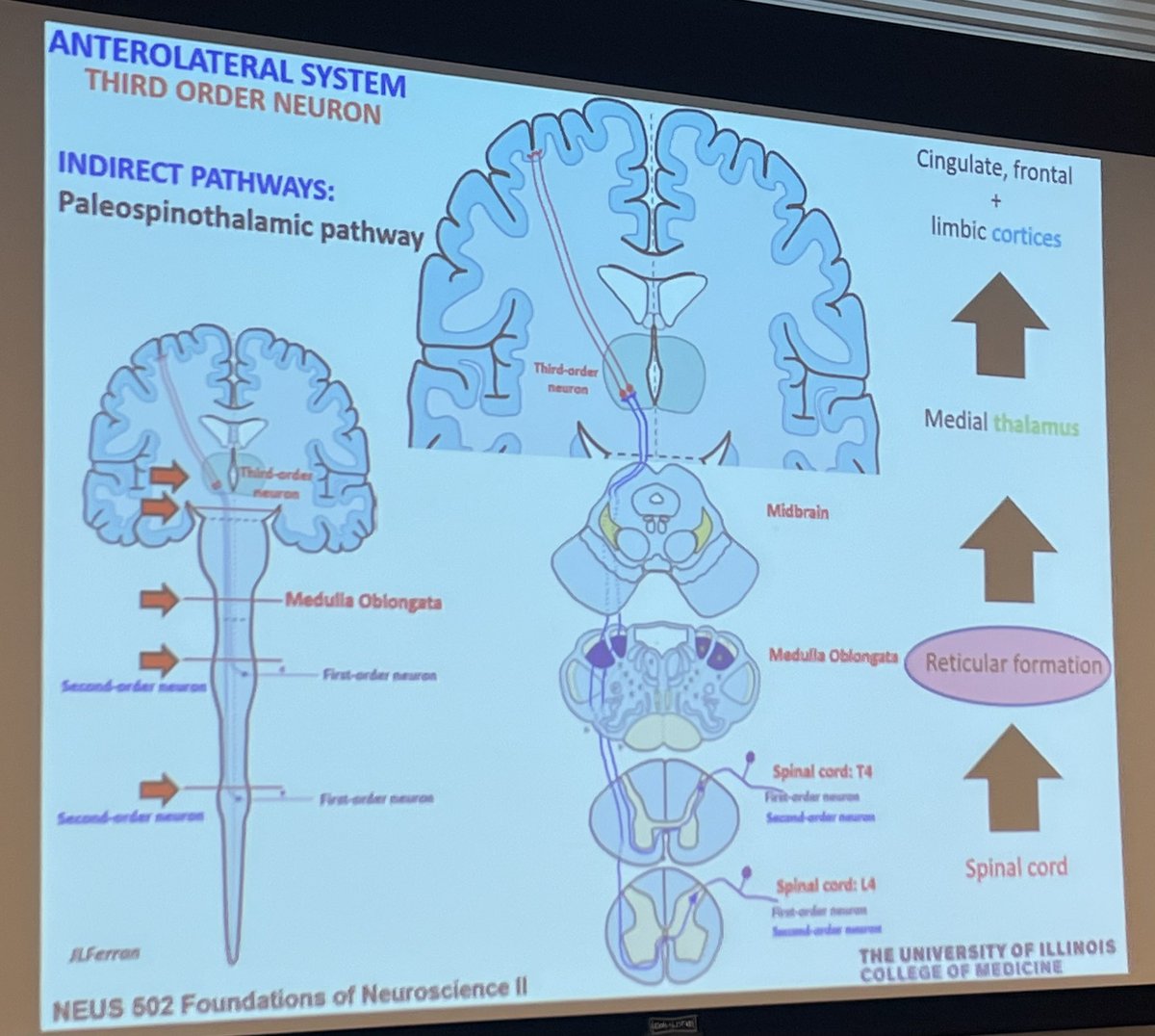 José Luis Ferran tweet media