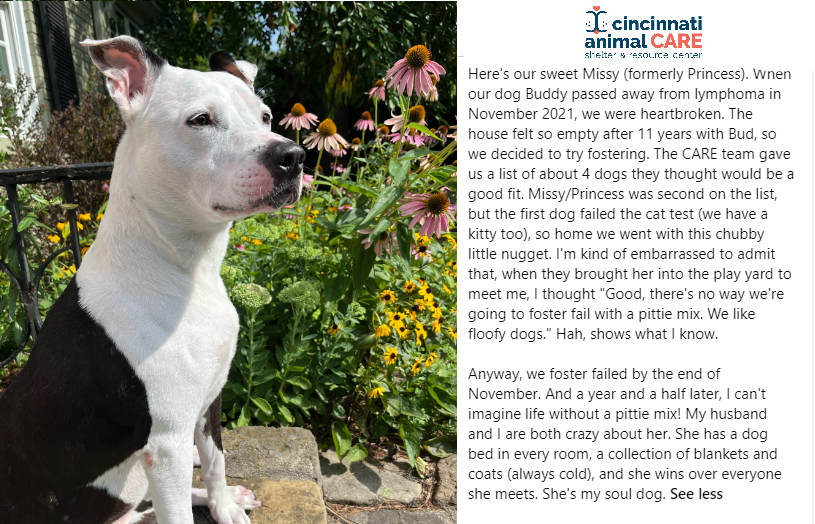 Cincinnati Animal CARE (@CincyAnimalCARE) / Twitter Cincinnati Animal CARE (@CincyAnimalCARE) / Twitter