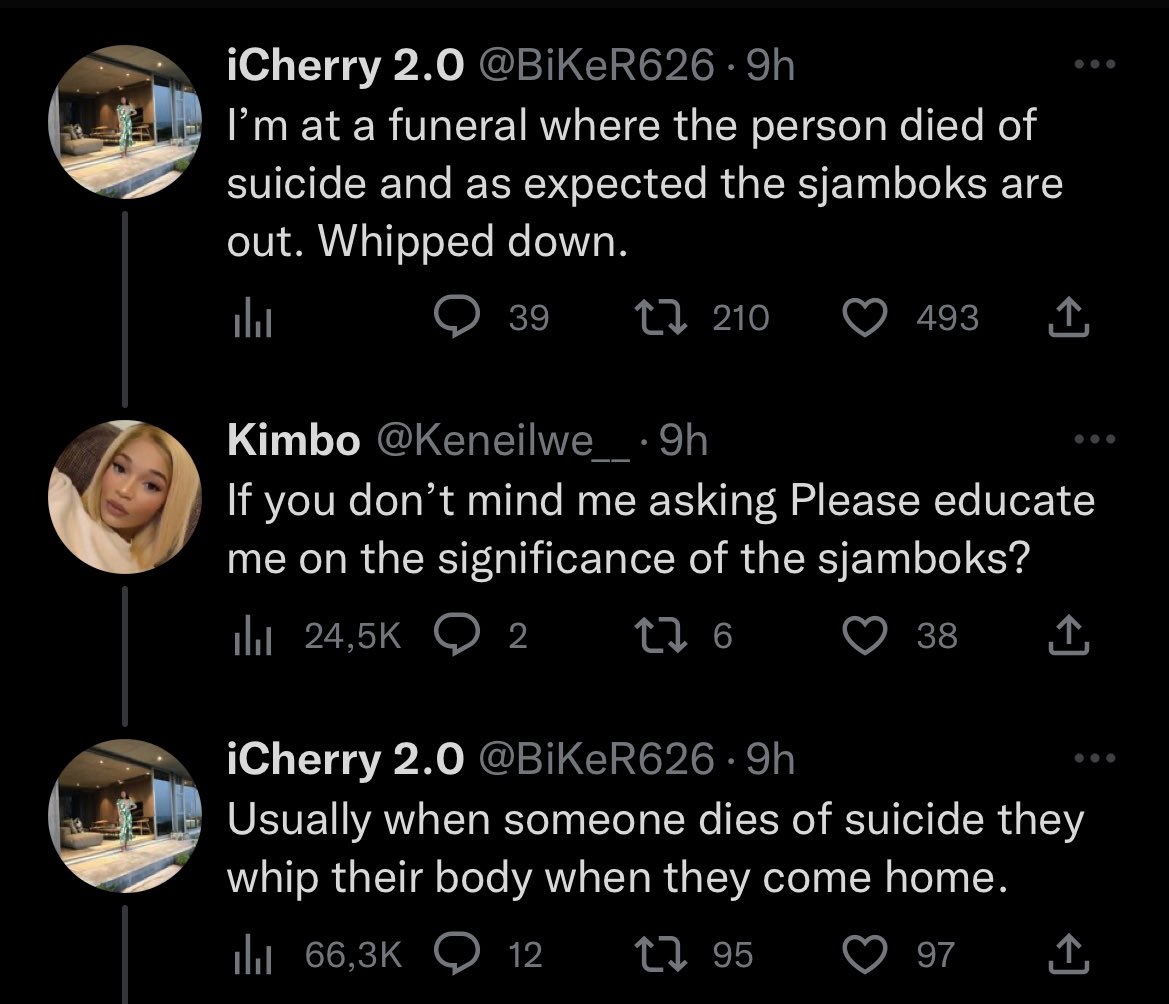 Miss Ziprusha tweet media