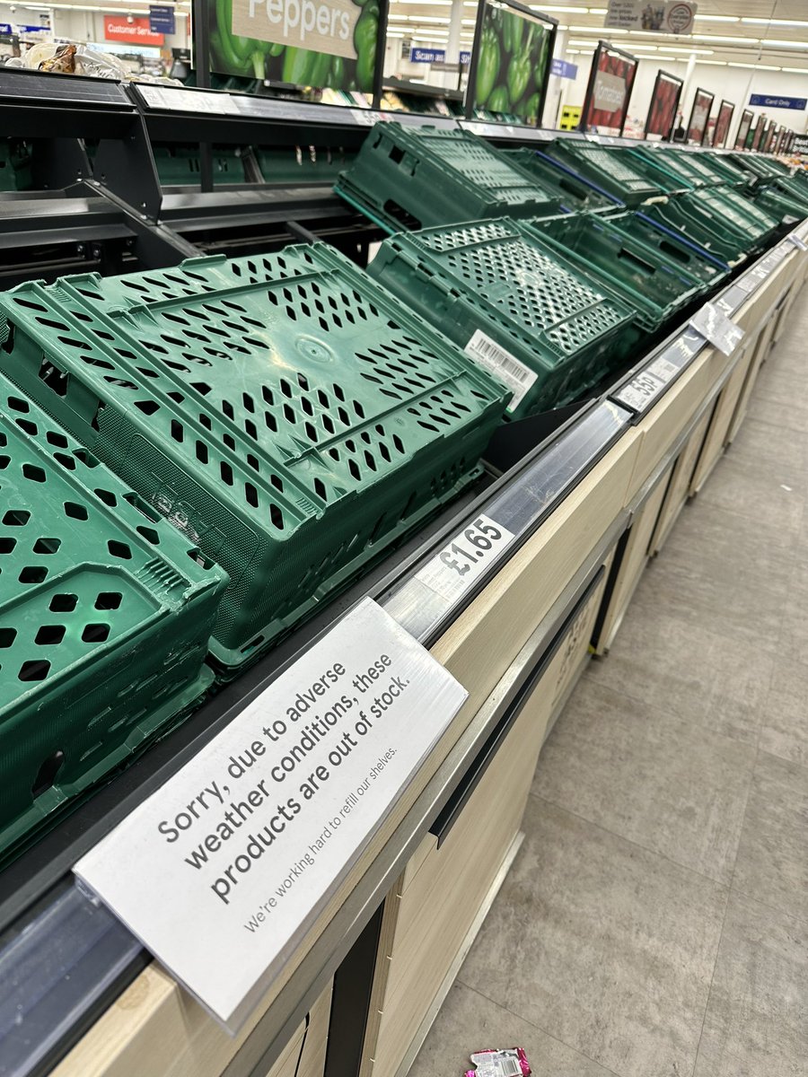 India Trembath tweet media