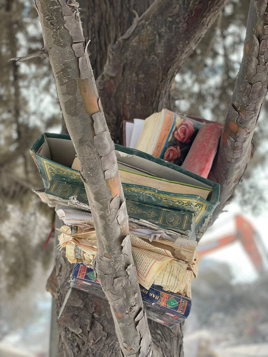 uzunabdurrahman's tweet photo. Her şey yerle yeksan olmuşken Kur’an-ı Kerim’i yerden alıp yükseğe, ağaç dalına kaldıran bu milleti Allah’ta ayağa kaldırır.🤲🏻 https://t.co/2qzScOsatI