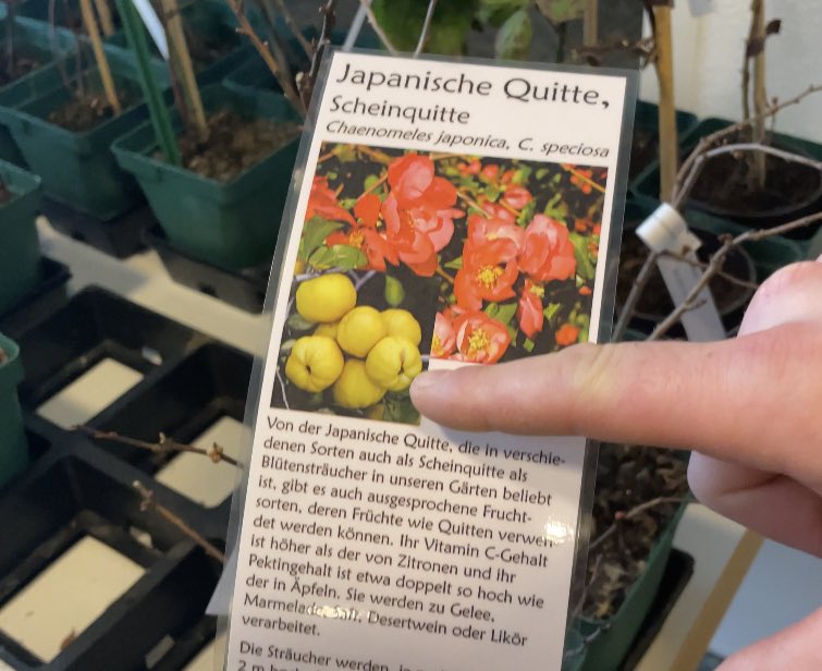 種祭り🌱
昔ながらの自然の植物の種が売ってる☺️

何故か日本の植物や野菜もあった😳笑

旦那は
「カモミールティーを作りたい！」
と言ってカモミールの種をお買い上げ🌼
種から育ててティーを作るって凄いな🤣🤣🤣 https://t.co/kJv9Lrssuv