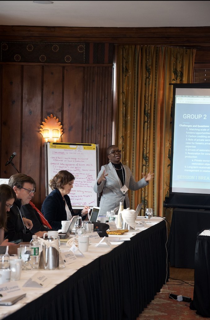 The Forests Dialogue tweet media