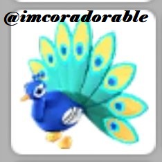 ᴘᴇᴀᴄᴏᴄᴋ ɢɪᴠᴇᴀᴡᴀʏ🦚
ꜱᴘᴏɴꜱᴇʀᴇᴅ ʙʏ @ᴊɪᴍᴀɴᴀꜱ389
 ᴛʜᴇ ʀᴜʟᴇꜱ:
ꜰᴏʟʟᴏᴡ @Jimanas389  ᴀɴᴅ ᴍʏꜱᴇʟꜰ
ʀᴇᴛᴡᴇᴇᴛ 
ᴄᴏᴍᴍᴇɴᴛ ᴊɪᴍ ᴛʜᴇ ʙᴇꜱᴛ
ᴇxᴛʀᴀꜱ:
ꜱᴀʏ ʜᴀᴘᴘʏ ʙɪʀᴛʜᴅᴀʏ ᴛᴏ @remdreamerr 
ꜰᴏʟʟᴏᴡ <a href="/NightmareShelly/">Shelly (Queen of butterflies and moths🦋)</a>