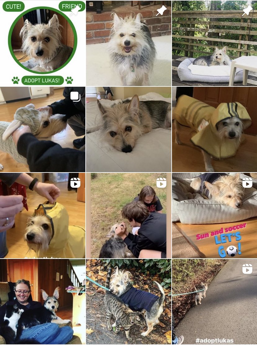 16TonsBeer's tweet photo. Lukas is a great companion! https://t.co/RMbGfdqHxD https://t.co/UsCAIyvaHm