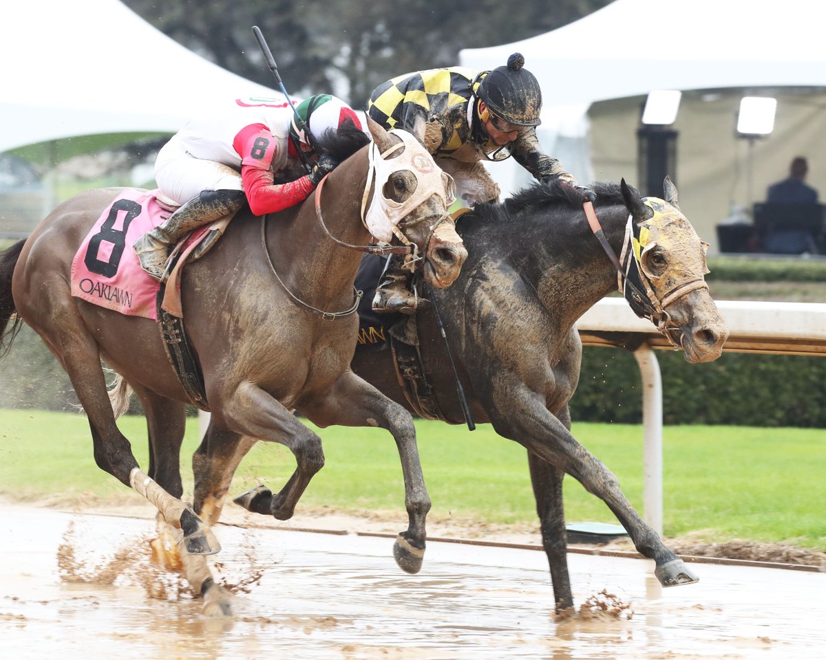 OaklawnRacing's tweet photo. Congratulations to Lewis Mathews Jr. for his 100th victory as an owner in today’s second race with Icarus! https://t.co/Rwa9ygW75O