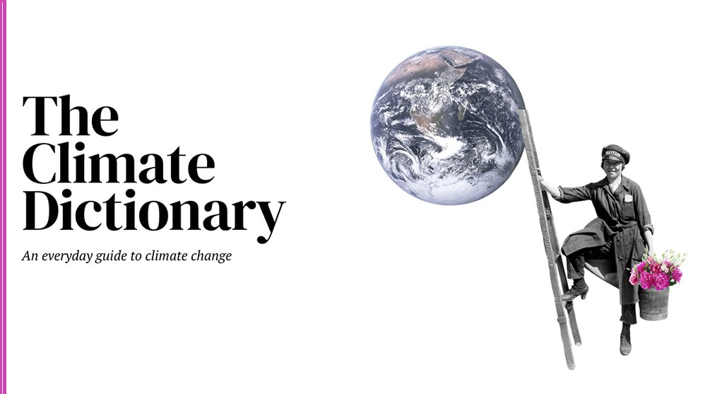 UNGeneva's tweet photo. Every day, more and more people are getting involved in climate action.

If you’re struggling to keep up with the climate conversation, the Climate Dictionary is for you👉  https://t.co/8UEJVYUVxJ
#ActNow #ClimateAction @UNDP https://t.co/X8EKRWl7nu