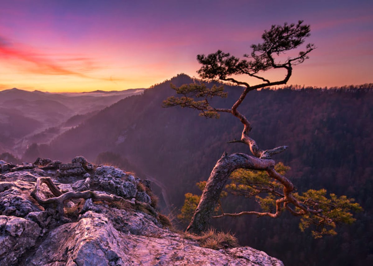 When you're comfortable, happy and at peace with yourself you will always have them no matter where and in whatever situation you find yourself.

#AsSvetSays 
#Nature #NaturePhotography by Marcin Kesek