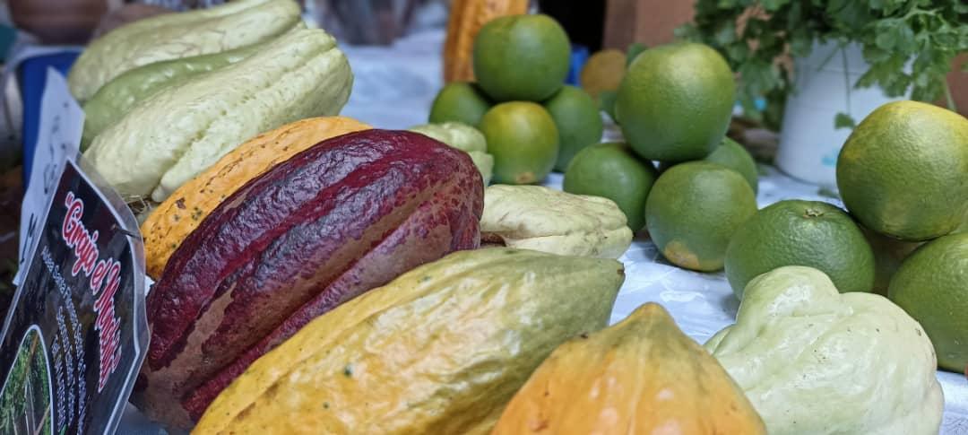 #Táchira || Poder Popular de la Base de Misiones Socialistas "Víctor Mosquera" en el mpio. Seboruco reciben los beneficios alimenticio del Gobierno Bolivariano en el marco de la protección social.