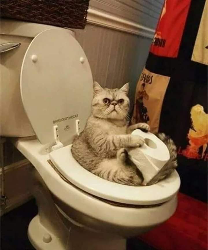 Warum bist du schon wieder zurück.... Raus mit euch 😄