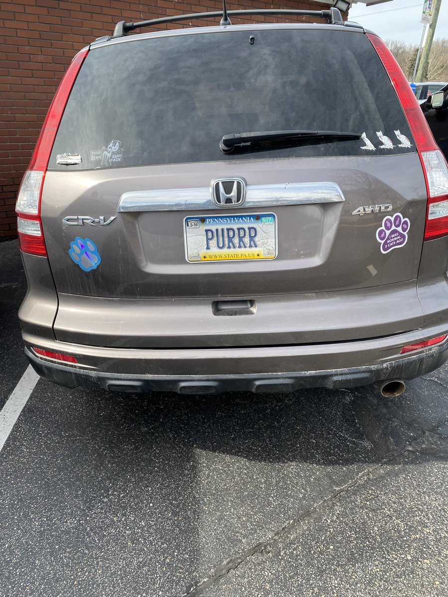 mdancho84's tweet image. A fellow #tidyverse lover I found at the grocery store. 🐈🐈🐈🐈

Yes I map() too. 

#rstats