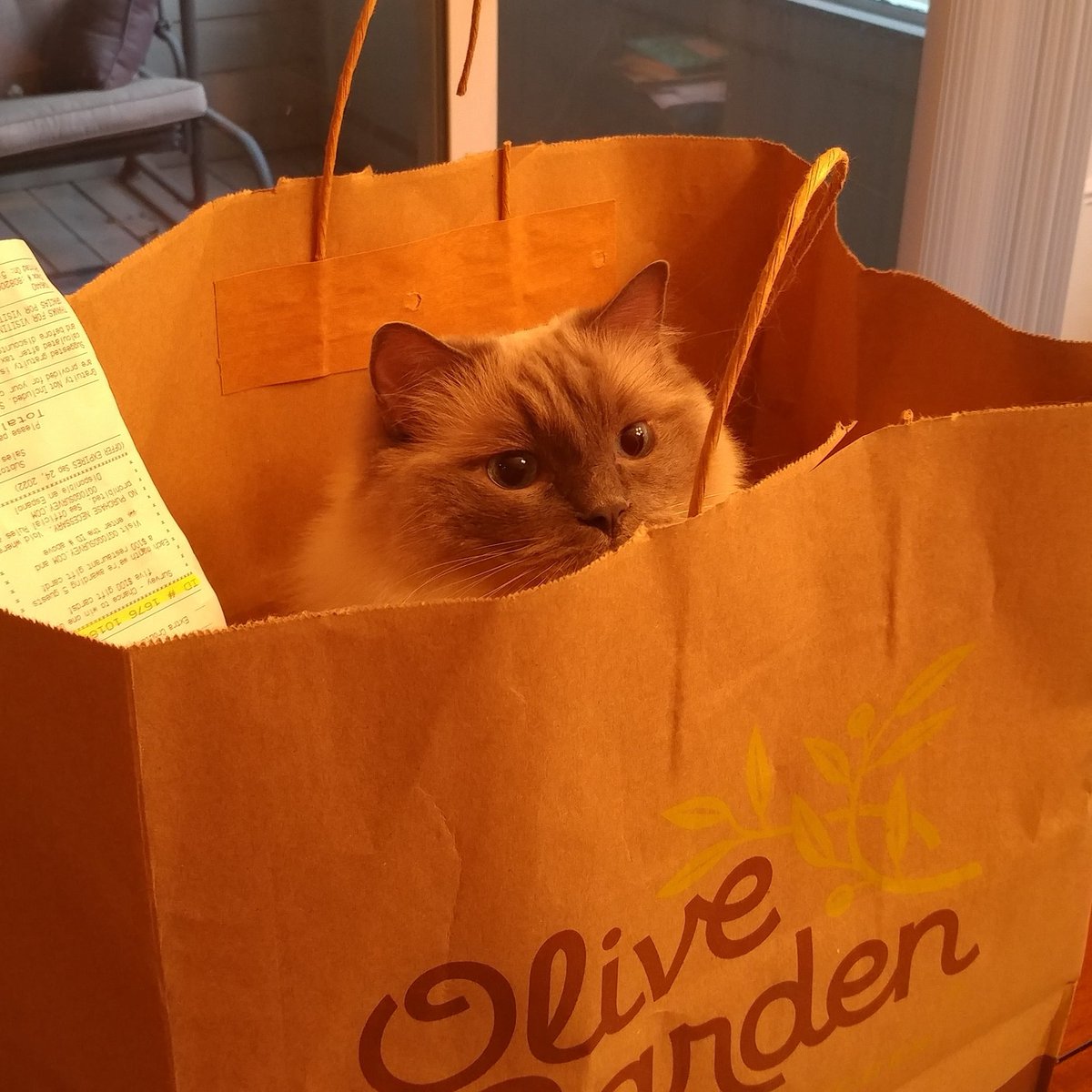 MsRobot4's tweet image. Oops! I ate your lunch😳