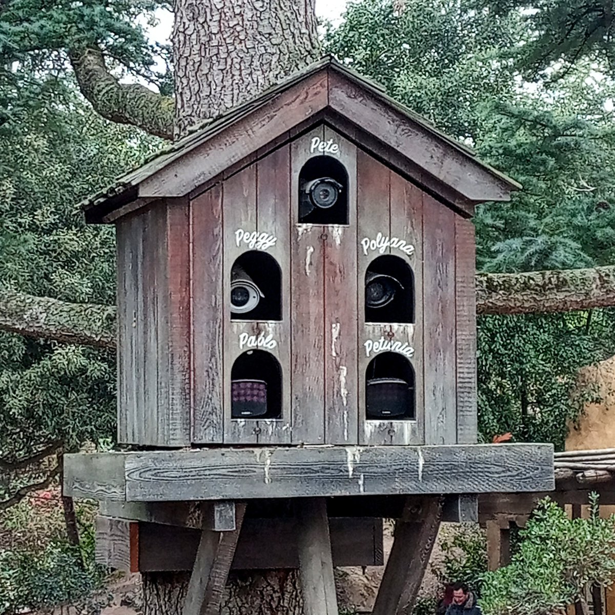 Tom Ireland tweet media