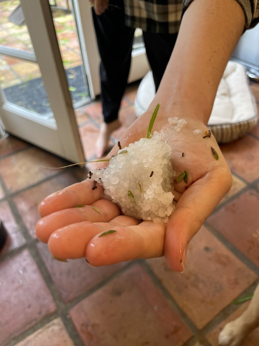 Los Angeles, right now.