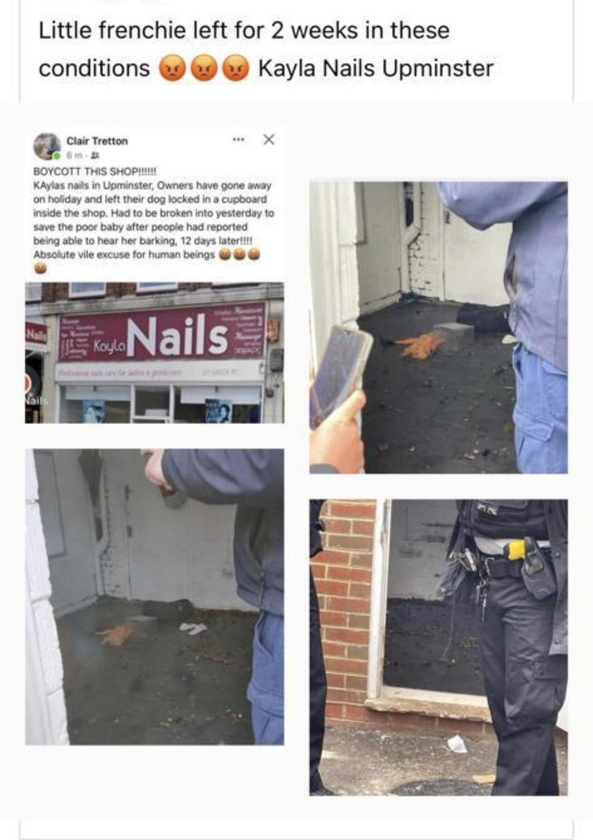 Amy Lovick tweet media