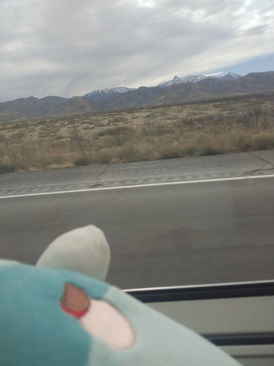 Peewee0_0's tweet photo. Going on a journey https://t.co/nC0imdEsSs