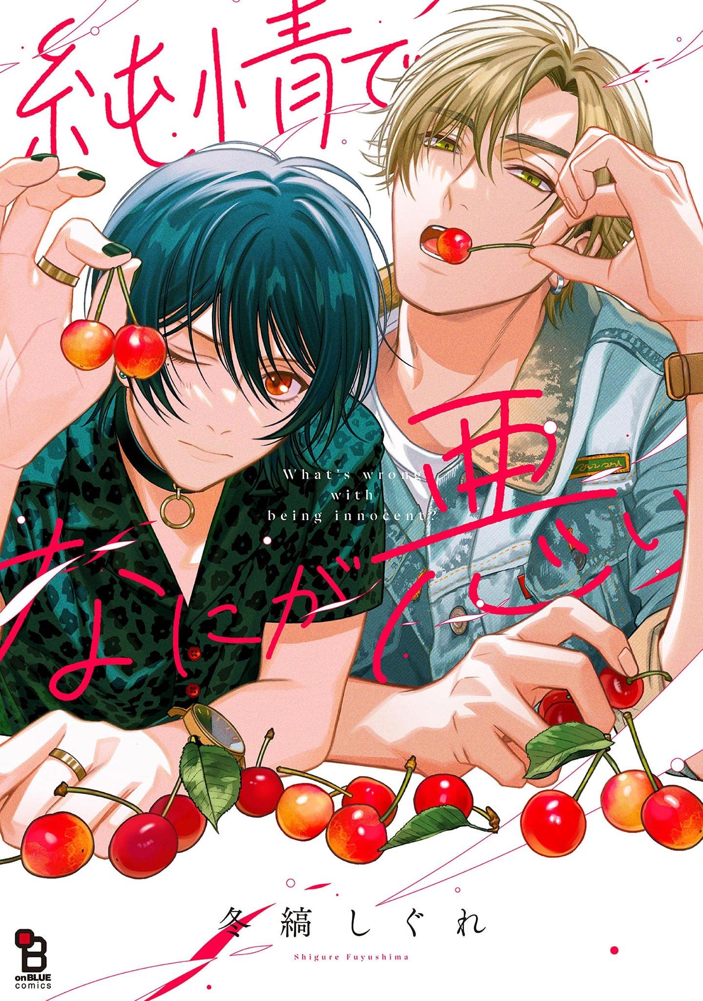 Junjou De Nani Ga Warui