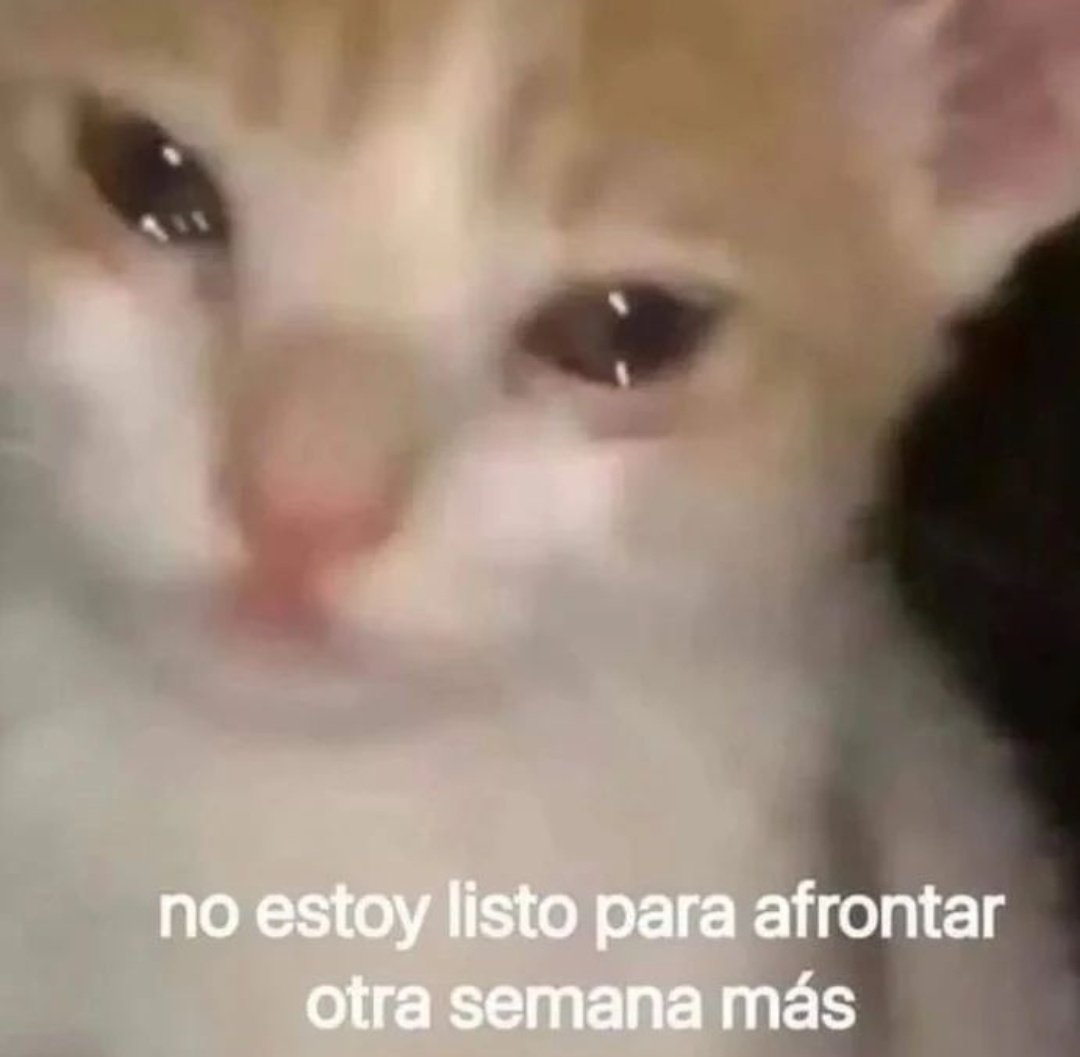 skereunpesado's tweet photo. https://t.co/Gabkg75PM1