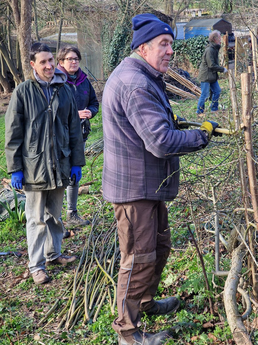 Streatham Common Co-operative (@sccoopstreatham) on Twitter photo A tree-mendous day at the #streathamcommon Rookery Orchard Hedgelaying workshop !
Big thank you the <a href="/SCCommGarden/">SCCommunityGarden</a> for organising such a wonderful workshop and to Clive for sharing his exerpertise! 💚🌳 A tree-mendous day at the #streathamcommon Rookery Orchard Hedgelaying workshop !
Big thank you the <a href="/SCCommGarden/">SCCommunityGarden</a> for organising such a wonderful workshop and to Clive for sharing his exerpertise! 💚🌳