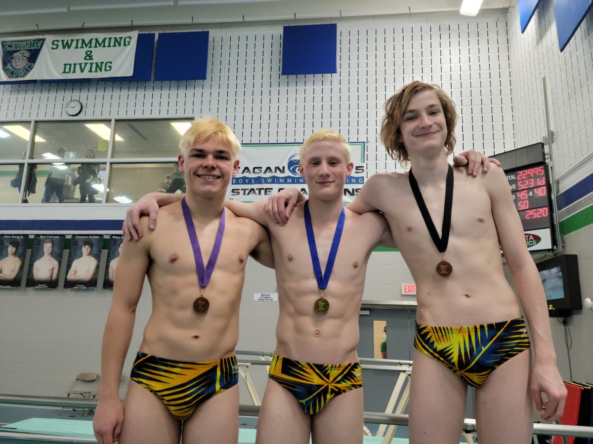 Irish ☘️ Section Final at diving:
Zach Manwarren 8th
Will Carrigan 6th
Lucas Gerten 1st 
Lucas broke the section record with a 529.80 (old section record was 491). Also a new pool and new school record.

Team finished in 3rd. Missed 2nd place by 2 points.