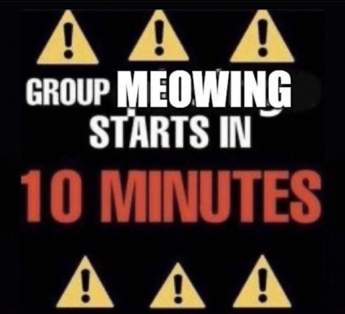 whotfisjovana's tweet image. 