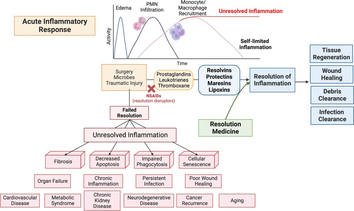 <a href="/mdpatrick/">Dan Patrick</a> <a href="/JuliaB_fitness/">Julia B.</a> <a href="/thesamparr/">Sam Parr</a> <a href="/davidasinclair/">David Sinclair</a> <a href="/NUSMedicine/">Yong Loo Lin School of Medicine</a> <a href="/AndreaBMaier/">Andrea Maier</a> <a href="/ResetYourClock/">iTR (Induced Tissue Regeneration)</a> <a href="/DrMorganLevine/">Morgan Levine</a> <a href="/LizRose14449371/">Liz Rose</a> <a href="/OcampoLab/">Ocampo Lab</a> <a href="/AlwaysOmega3s/">AlwaysOmega3s</a> <a href="/FariOmega3/">FARIOmega3</a> <a href="/foundmyfitness/">Dr. Rhonda Patrick</a> <a href="/humanageing/">TheHumanAgingProject</a> <a href="/USherbrooke/">Université de Sherbrooke</a> <a href="/uk_biobank/">UK Biobank</a> <a href="/NgaleHealth/">Nightingale Health</a> <a href="/NatureComms/">Nature Communications</a> <a href="/CNSerhanLab/">The CETRI</a>: #ResolutionMedicine: are we on track to address the next Pandemic (&amp; #Aging)?
link.springer.com/article/10.100… A new high-sensivity method for measuring #Oxylipins/#SPMs: jlr.org/article/S0022-… And #Maresin2 (DHA) is another pro-repair molecule: pnas.org/doi/10.1073/pn…