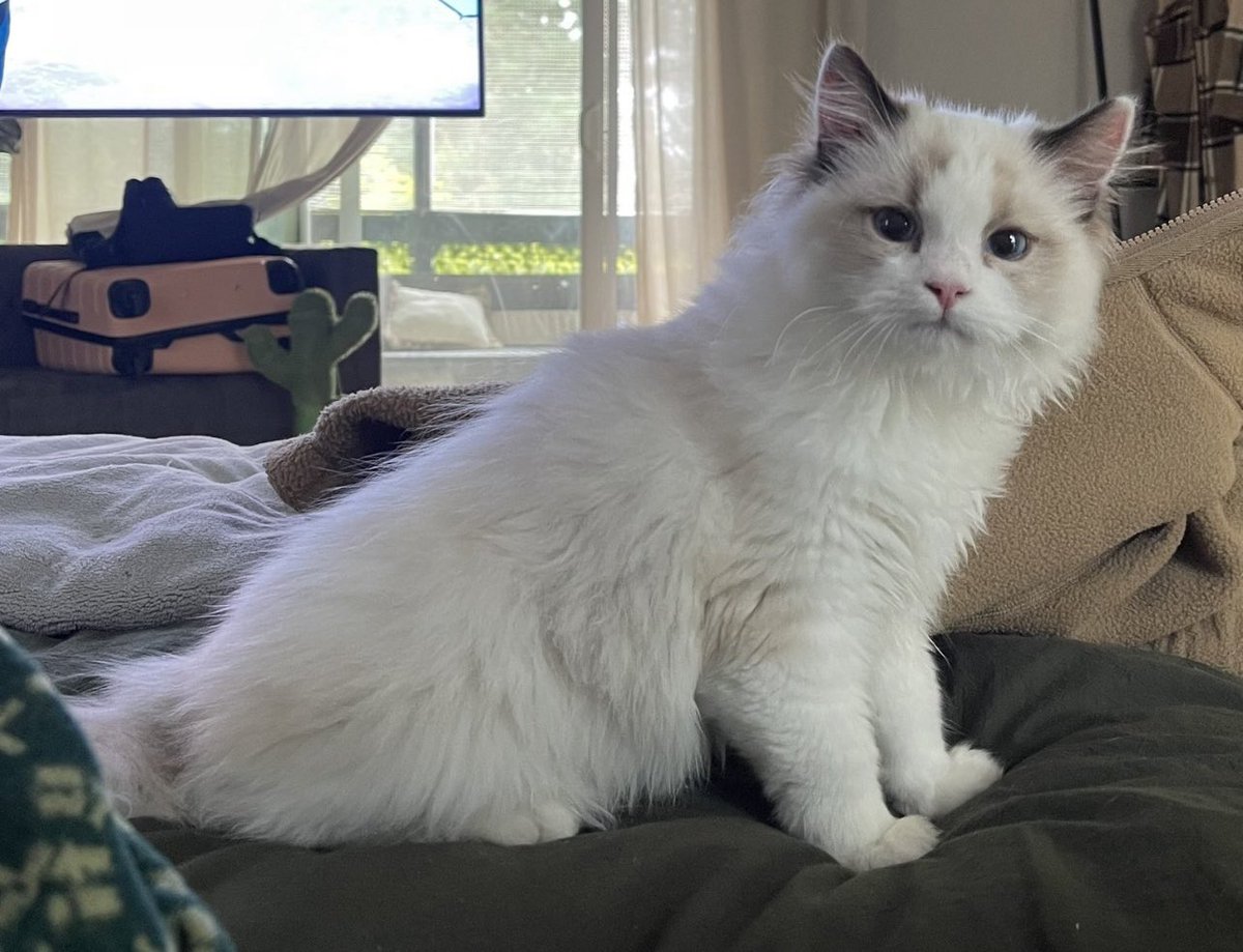 Nikki Blackketter tweet media