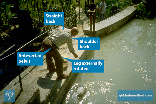 Gokhale Method tweet media