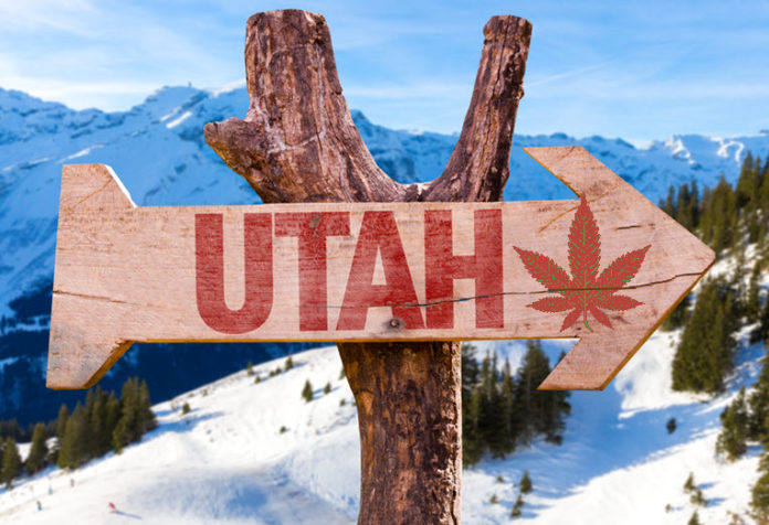 Guess what’s the biggest cash crop in conservative Utah right now? 

onlineweednews.com/2023/02/25/gue… 

#news #cannabis #Utah #conservative #crop #cashcrop #cultivation #marijuana #controversy #CannabisNews #MarijuanaNews