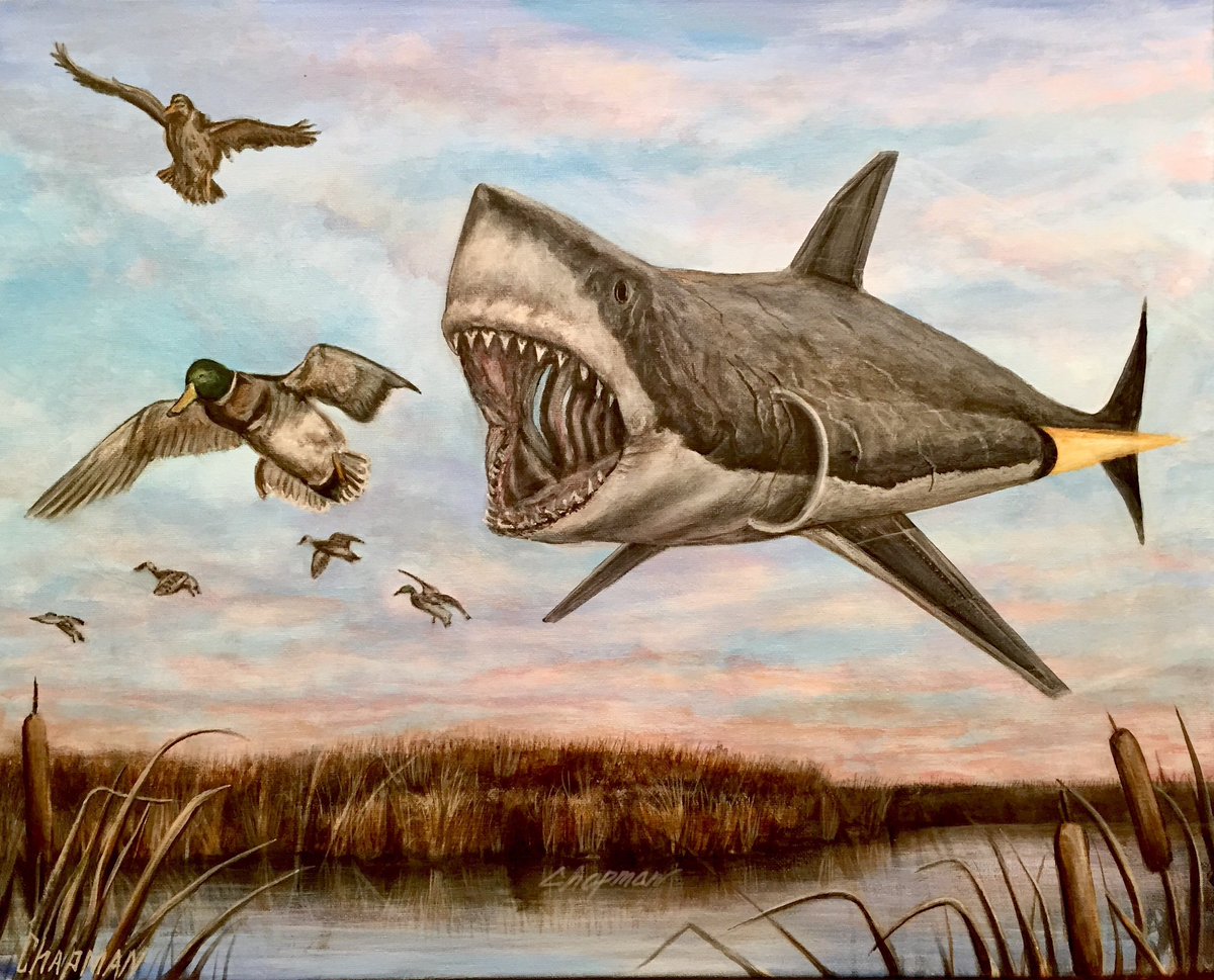 Travispaints's tweet image. My entry to the federal duck stamp art contest did not win.