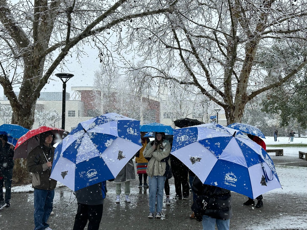 Melissa Guerra tweet media