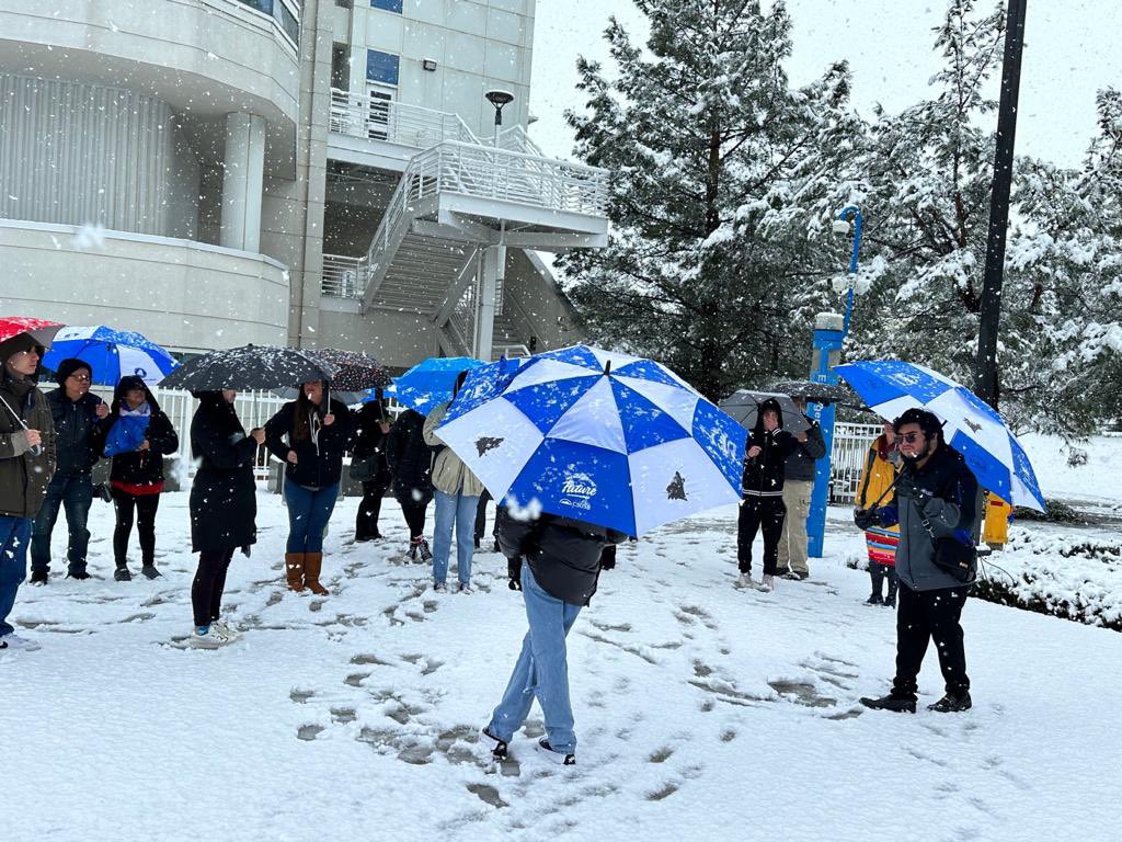 Melissa Guerra tweet media