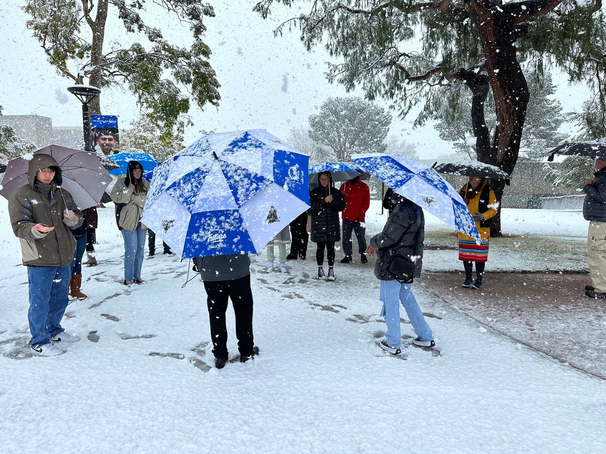 Melissa Guerra tweet media