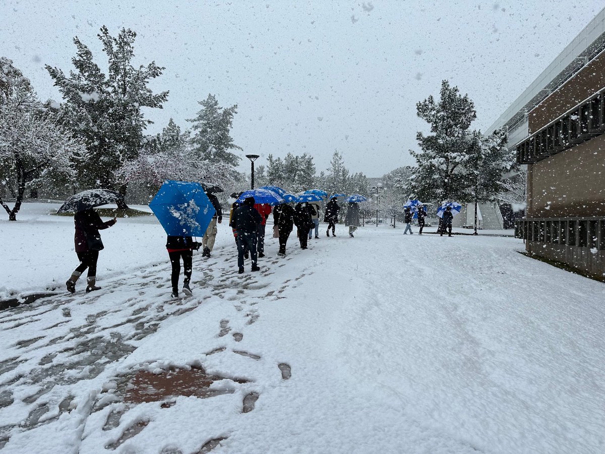 Melissa Guerra tweet media