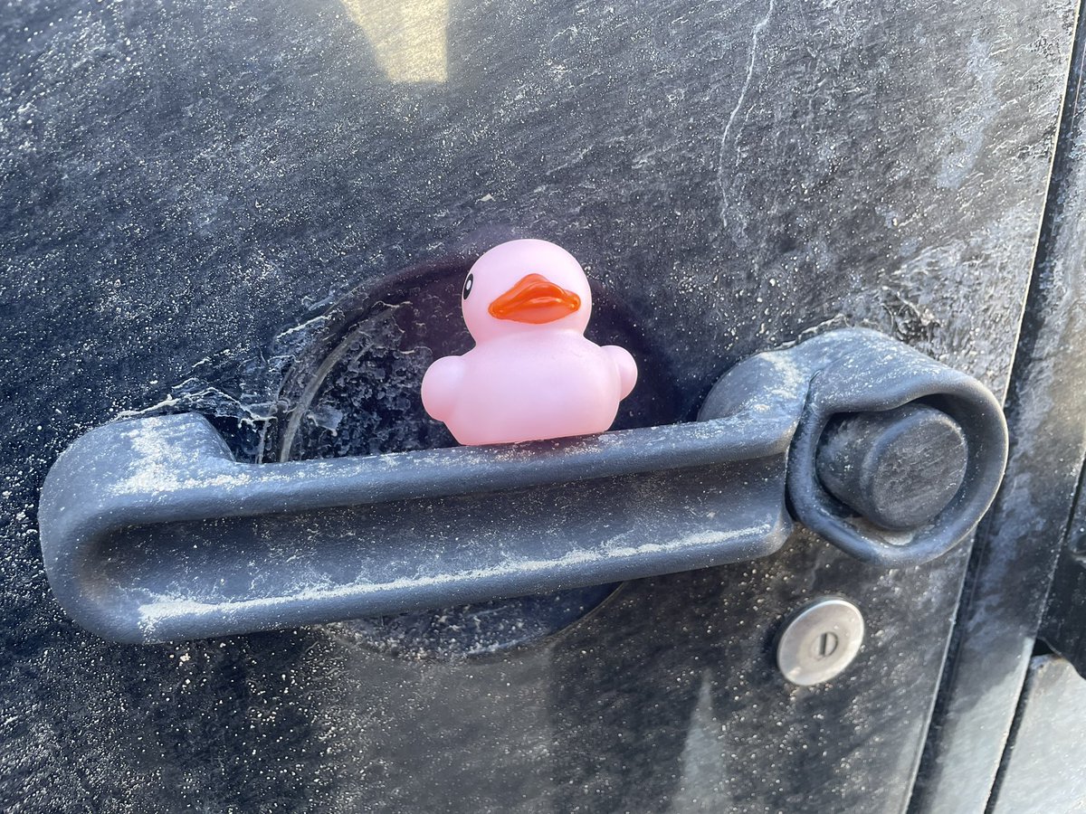 CaitlinLong_'s tweet image. #ducked! #jeeplife