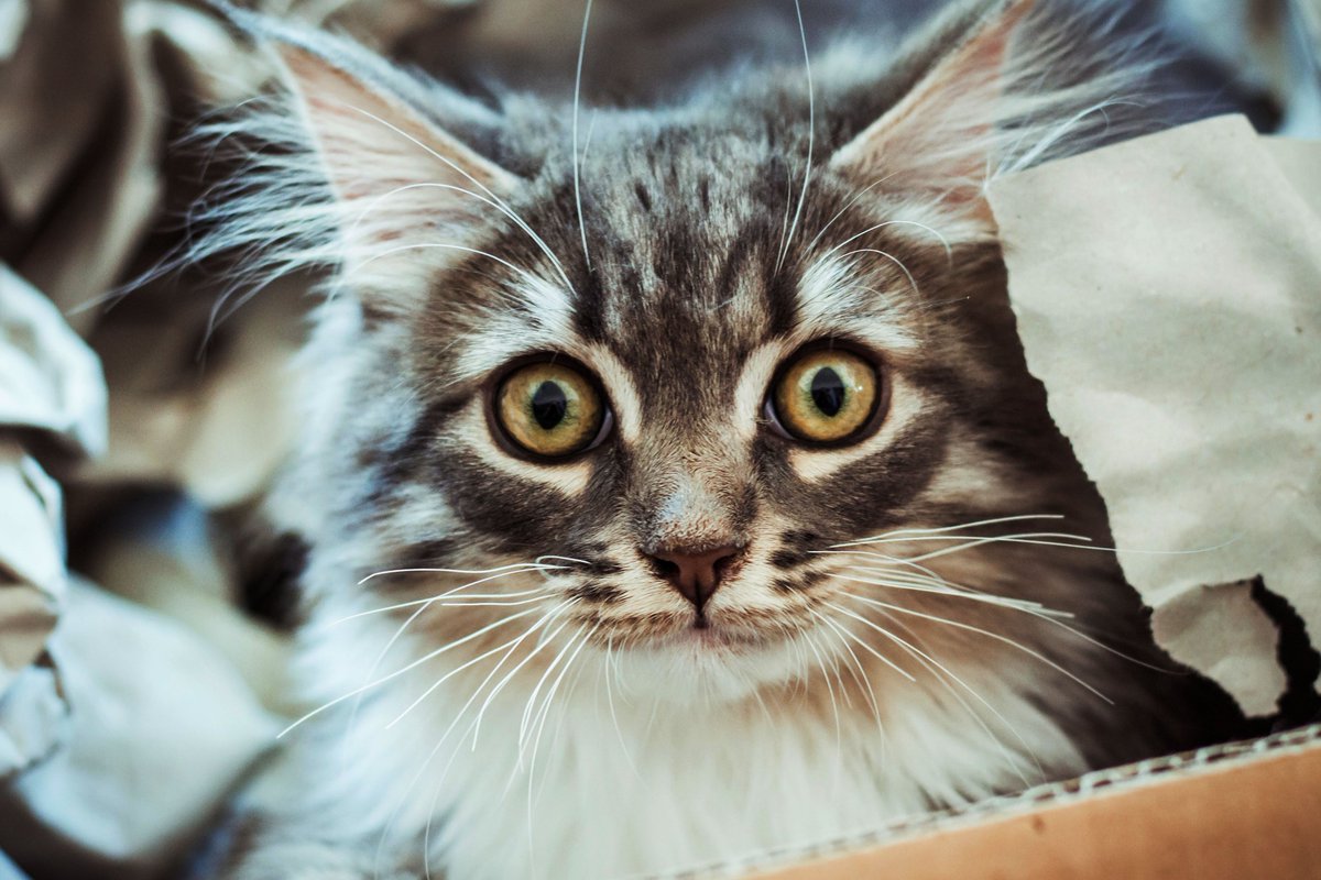 Good morning #WritingCommunity 🖤

Let's start the day with a #writerslift 

Drop the links to your #books, #blogs, #poetry, #art, #websites, or anything else you want to share

RT others to spread the love
🖤🖤🖤