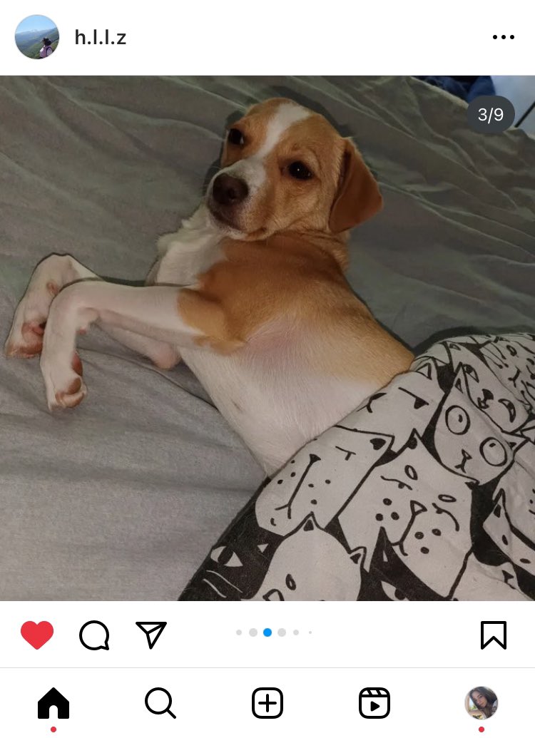 KESİN BİLGİ!!
Hatay Antakya Odabaşı mahallesi civarında kayboldular lütfen gören, duyan yardım etsin #kayseri #niğde #konya #depremler <a href="/BabalaTv/">BaBaLa TV</a> <a href="/OguzhanUgur/">Oğuzhan Uğur</a> <a href="/AFADBaskanlik/">AFAD</a> <a href="/DepremDairesi/">AFAD Deprem</a> <a href="/haluklevent/">Haluk Levent ( Ahbap Ekibi )</a> <a href="/ahbap/">Ahbap</a> <a href="/HaytapOfficial/">Semtiemt</a> #yardimedi̇n