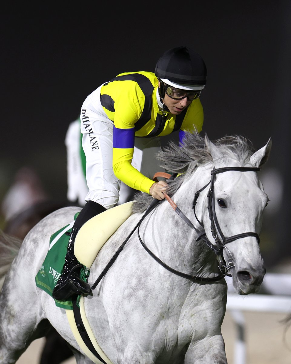 G3 Red Sea Turf success for Damian Lane and the flashy son of Orfevre, Silver Sonic. #シルヴァーソニック