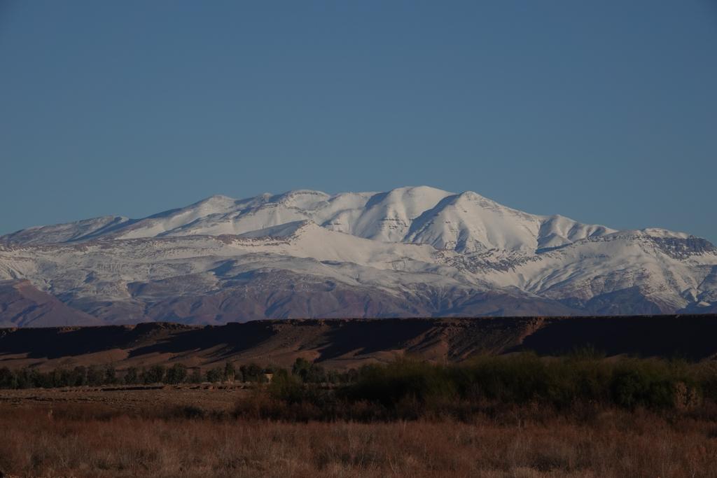 Martin Pitt tweet media