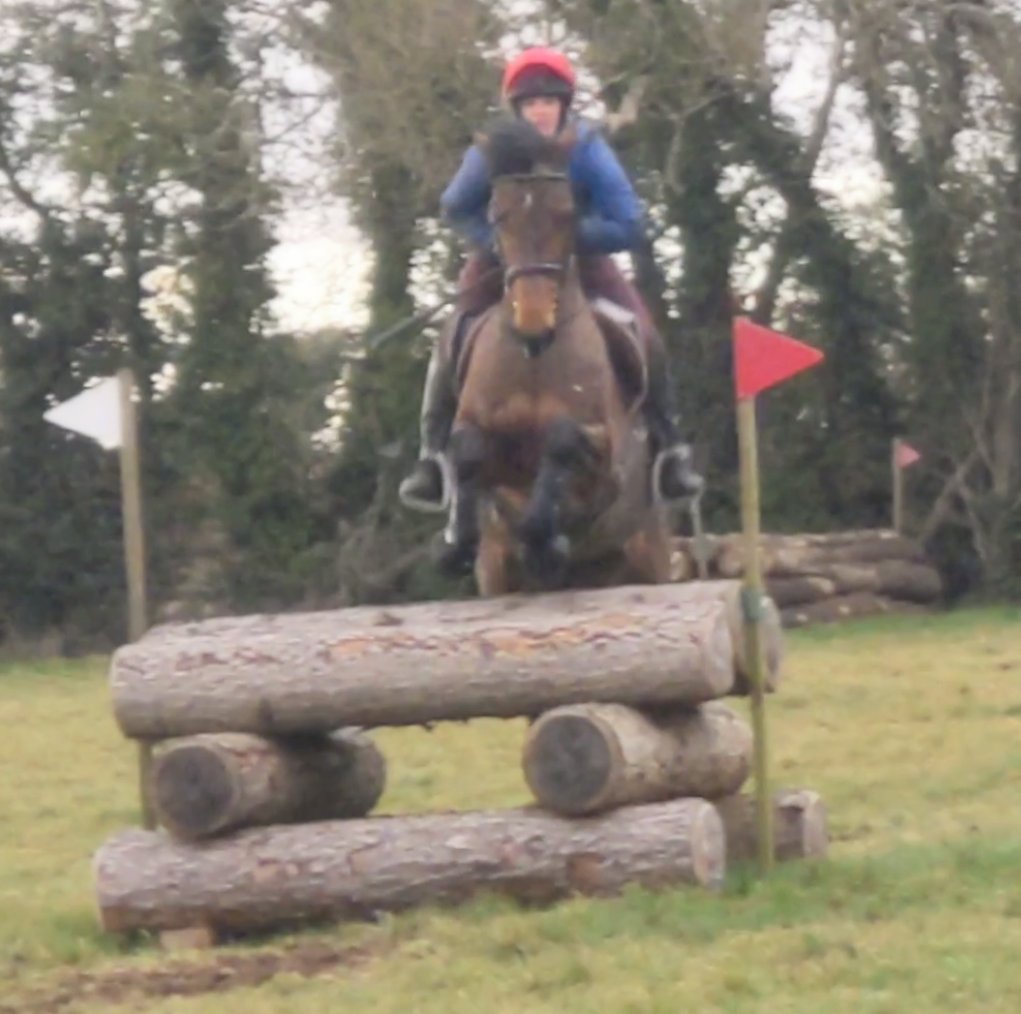 LOVE my ponies 😍 So much fun first XC of the year today 🤩