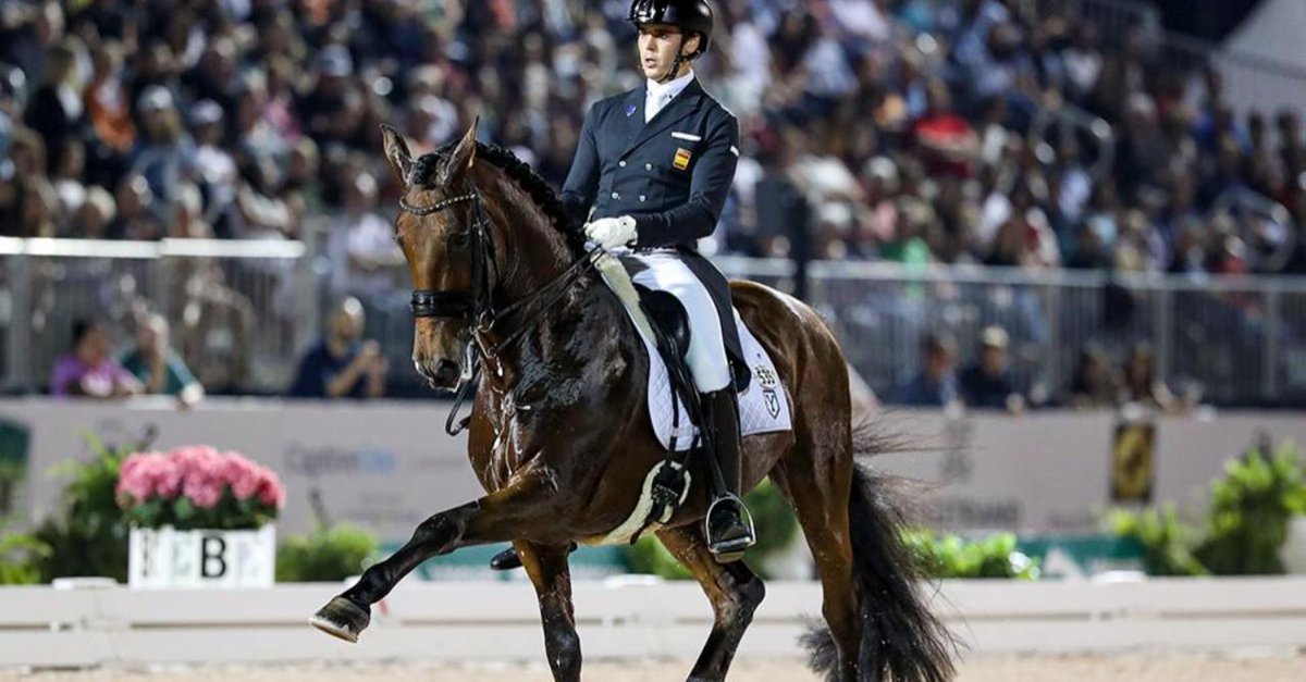 HorseNetwrk's tweet photo. "I started competing internationally in Wellington, so for me to win the Grand Prix yesterday and today win the freestyle, it’s pretty special." #AGDF https://t.co/eWvDetL9CN https://t.co/BS7ddGPzBz
