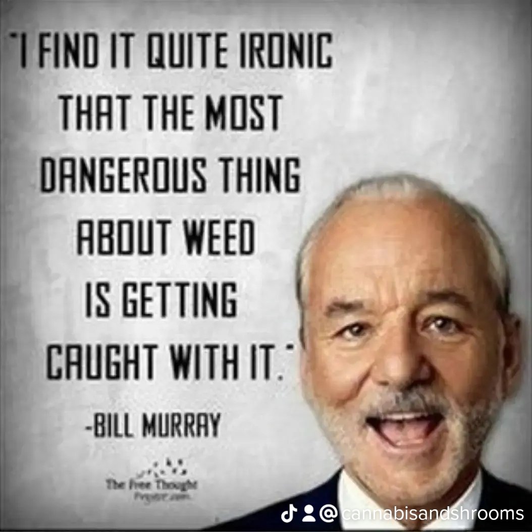 TheRevRogers's tweet photo. @PaulStamets
@joerogan
@RicFlairNatrBoy
@MikeTyson
@OfficialSting
@JimBelushi
@Montel_Williams
@Narcomania
@NORML
@WillieNelson
@McConaughey
@SnoopDogg
@MarthaStewart
@tommychong
@CheechMarin
@cheechandchong
@vetsforvets
@JimBelushi
@GovernorPerry https://t.co/UCRB7bs7Di