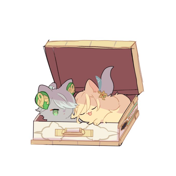 箱猫 