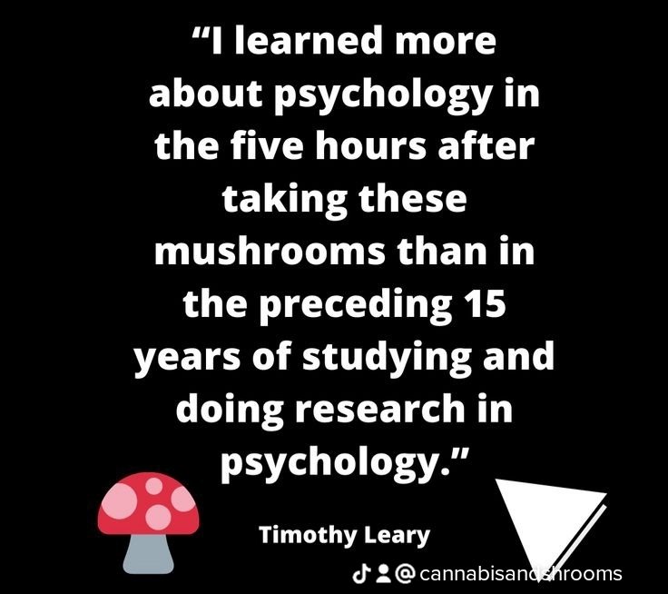 TheRevRogers's tweet photo. @EmmaBeckerle The Cannabis and Shroom Society supports and promotes the legalization of Cannabis and Psilocybin Mushrooms. https://t.co/sYzNliRG5M