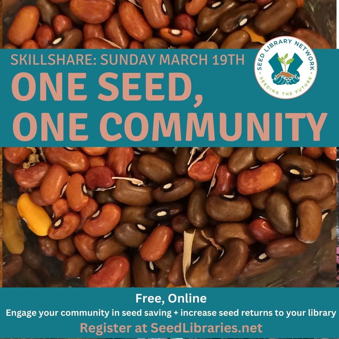 seedlibraries's tweet photo. Skillshare: One Seed, One Community free, online, Sunday, March 19th. Register at https://t.co/rx5nxU1A8Y. The idea is that you provide the seeds and get everyone growing the same plant and walk them through from #seed to seed. #seedlibraries #seedsaving #resilience https://t.co/VXb01kvmL9