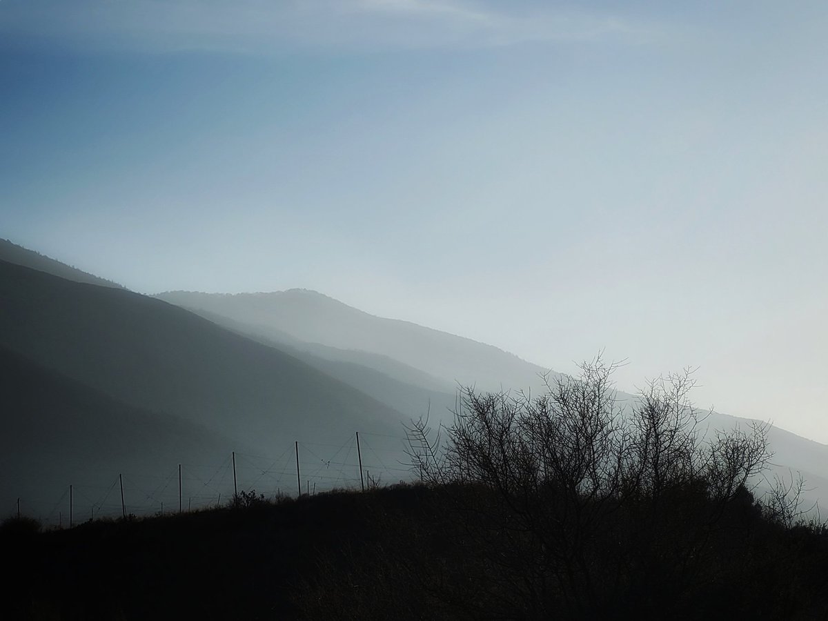 Eliezer Jáuregui tweet media